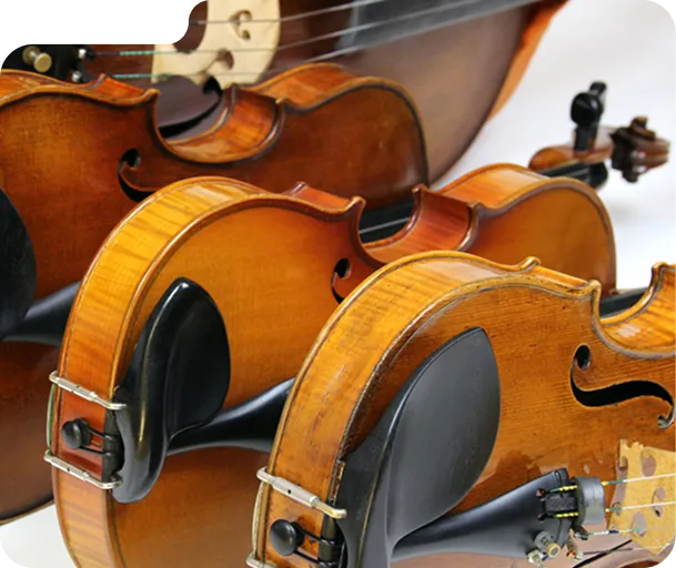 Close-up of three violins placed side by side showing their wood texture and black chin rests.